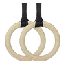Gymnastic Rings